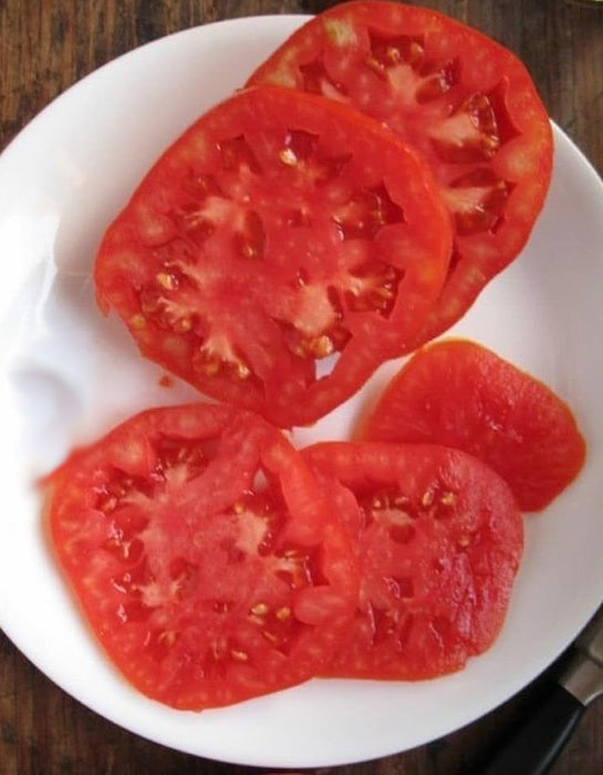 Boxcar Willie, Tomato - BoxGardenSeedsLLC -Tomatoes,Tomatillos - Seeds