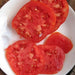 Boxcar Willie, Tomato - BoxGardenSeedsLLC -Tomatoes,Tomatillos - Seeds