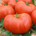 Soldacki, Tomato - BoxGardenSeedsLLC -Tomatoes,Tomatillos - Seeds