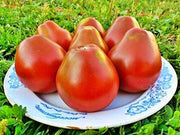 Red Truffle, Tomato - BoxGardenSeedsLLC - Tomatoes,Tomatillos - Seeds - USA Seller, Thank you for shopping here today, Naturally Grown GMO Free Seeds, Heirloom Open Pollinated Seeds, Fresh Top Quality Premium Seeds