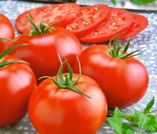 Dakota Sport, Tomato - BoxGardenSeedsLLC -Tomatoes,Tomatillos - Seeds