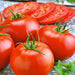 Dakota Sport, Tomato - BoxGardenSeedsLLC -Tomatoes,Tomatillos - Seeds