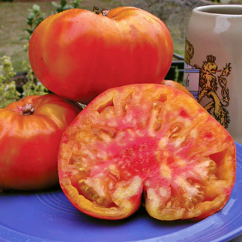 Old German, Tomato - BoxGardenSeedsLLC - Tomatoes,Tomatillos - Seeds - USA Seller, Thank you for shopping here today, Naturally Grown GMO Free Seeds, Heirloom Open Pollinated Seeds, Fresh Top Quality Premium Seeds