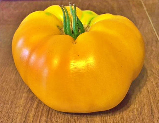 Giallo De Summer, Tomato - BoxGardenSeedsLLC -Tomatoes,Tomatillos - Seeds