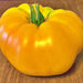 Giallo De Summer, Tomato - BoxGardenSeedsLLC -Tomatoes,Tomatillos - Seeds
