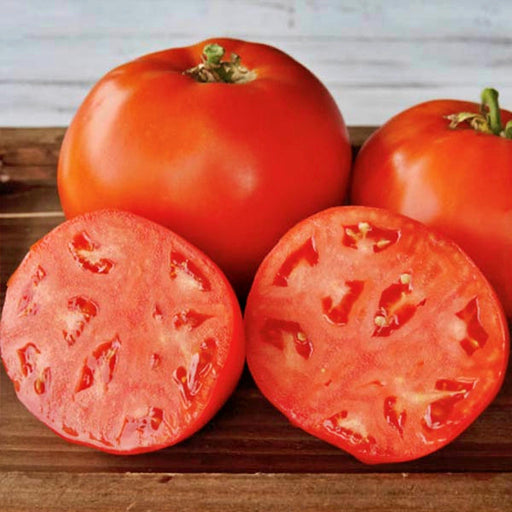 Umpqua Beauty, Tomato - BoxGardenSeedsLLC -Tomatoes,Tomatillos - Seeds