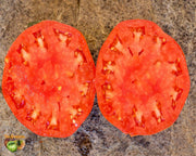 Giant of Siebenburgen, Tomato - BoxGardenSeedsLLC - Tomatoes,Tomatillos - Seeds - USA Seller, Thank you for shopping here today, Naturally Grown GMO Free Seeds, Heirloom Open Pollinated Seeds, Fresh Top Quality Premium Seeds