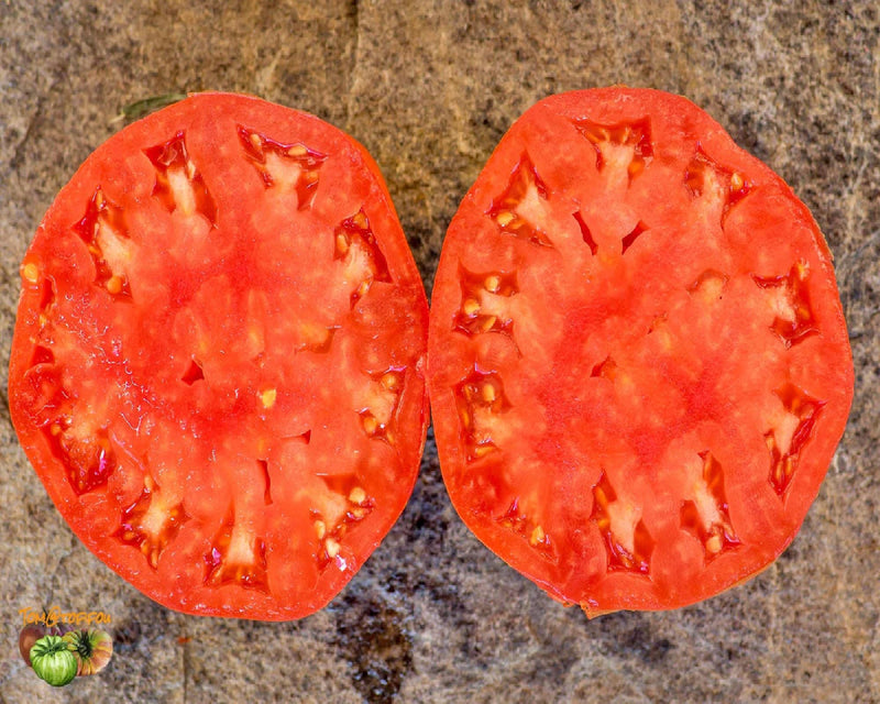 Giant of Siebenburgen, Tomato - BoxGardenSeedsLLC - Tomatoes,Tomatillos - Seeds - USA Seller, Thank you for shopping here today, Naturally Grown GMO Free Seeds, Heirloom Open Pollinated Seeds, Fresh Top Quality Premium Seeds