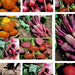 Heirloom Beets, Seed Kit - BoxGardenSeedsLLC -Beet,Turnips,Parsnips - Seeds