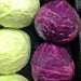 Cabbage, Red Express - BoxGardenSeedsLLC -Cabbage, Kale - Seeds