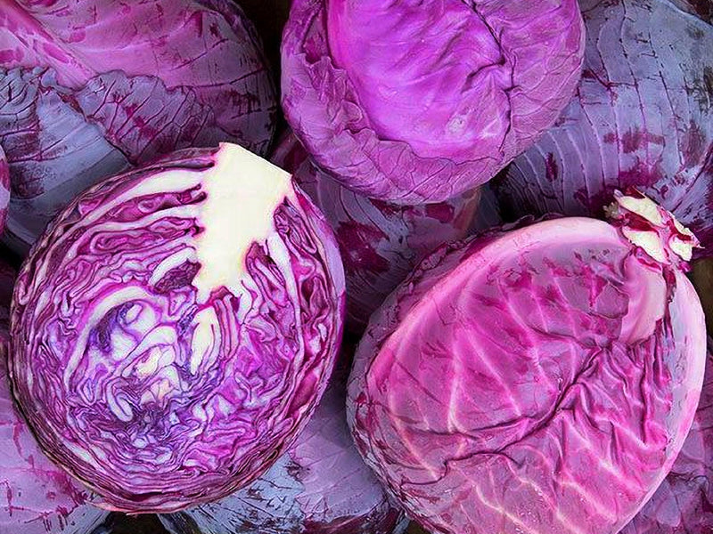 Red Express, Cabbage - BoxGardenSeedsLLC - Cabbage, Kale - Seeds - USA Seller, Thank you for shopping here today, Naturally Grown GMO Free Seeds, Heirloom Open Pollinated Seeds, Fresh Top Quality Premium Seeds