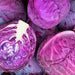a pile of red cabbage cut in half
