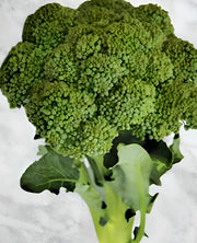 Green Calabrese, Broccoli - BoxGardenSeedsLLC - Broccoli,Cauliflower - Seeds - USA Seller, Thank you for shopping here today, Naturally Grown GMO Free Seeds, Heirloom Open Pollinated Seeds, Fresh Top Quality Premium Seeds