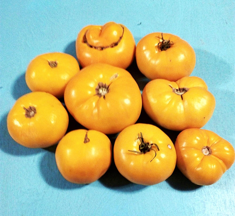 BrandywineTomato, Seed Collection - BoxGardenSeedsLLC - Tomatoes,Tomatillos - Seeds - 