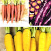 Colorful Carrot, Seed Collection - BoxGardenSeedsLLC - Seed Collections - Seeds - USA Seller, Thank you for shopping here today, Naturally Grown GMO Free Seeds, Heirloom Open Pollinated Seeds, Fresh Top Quality Premium Seeds