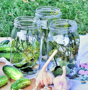 Parisian Pickling, Cucumber - BoxGardenSeedsLLC - Cucumbers - Seeds - USA Seller, Thank you for shopping here today, Naturally Grown GMO Free Seeds, Heirloom Open Pollinated Seeds, Fresh Top Quality Premium Seeds