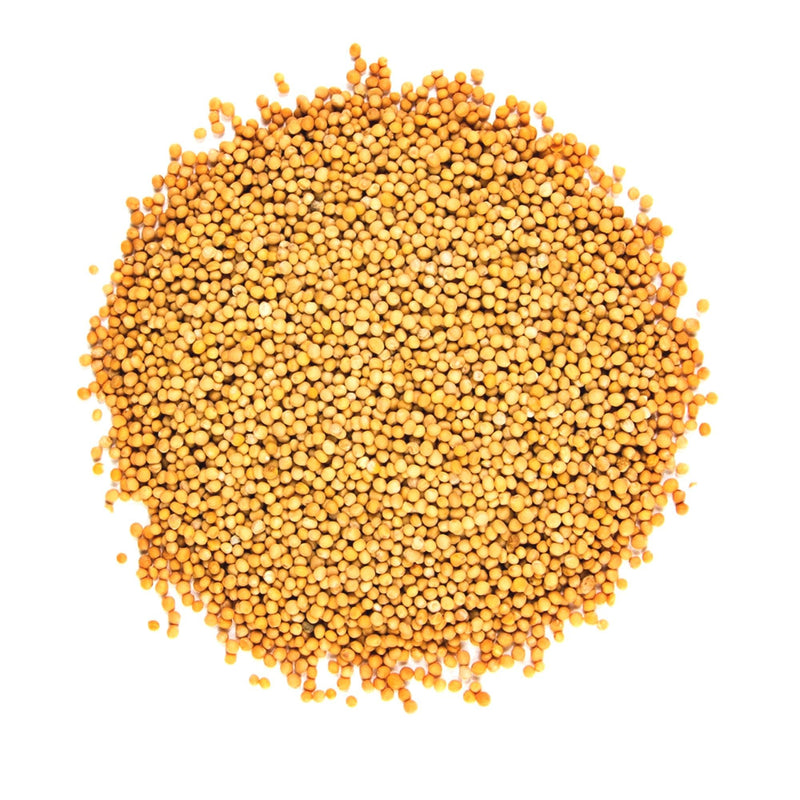Yellow (White), Mustard - BoxGardenSeedsLLC - Culinary/Medicinal Herbs - Seeds - USA Seller, Thank you for shopping here today, Naturally Grown GMO Free Seeds, Heirloom Open Pollinated Seeds, Fresh Top Quality Premium Seeds