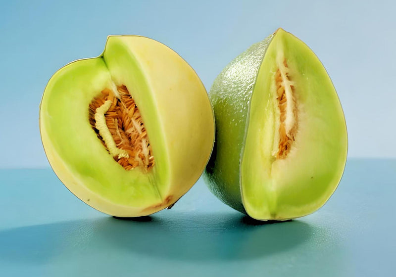 Green Flesh, Honeydew Melon - BoxGardenSeedsLLC - Melons, Cantaloupe - Seeds - USA Seller, Thank you for shopping here today, Naturally Grown GMO Free Seeds, Heirloom Open Pollinated Seeds, Fresh Top Quality Premium Seeds