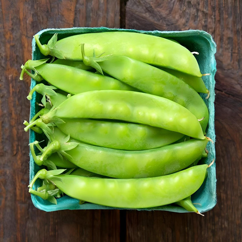 Blizzard, Snow Pea, Heirloom Seeds, Gardening, Open Pollinated Non-GMO - BoxGardenSeedsLLC - Peas - Seeds - USA Seller, Thank you for shopping here today, Naturally Grown GMO Free Seeds, Heirloom Open Pollinated Seeds, Fresh Top Quality Premium Seeds