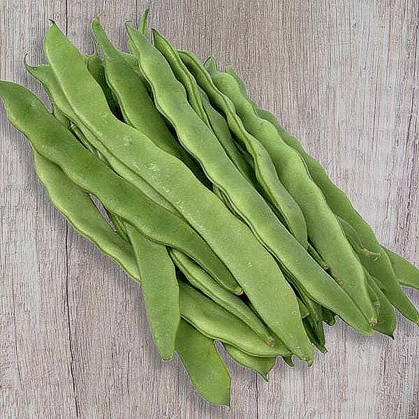 Early Bountiful, Bush Bean, Heirloom Seeds, Container Gardening, Open-Pollinated Vegetable, Non-GMO - BoxGardenSeedsLLC - Beans / Dry Beans - Seeds - USA Seller, Thank you for shopping here today, Naturally Grown GMO Free Seeds, Heirloom Open Pollinated Seeds, Fresh Top Quality Premium Seeds