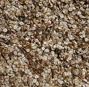 Red Flash, Orach Mountain Spinach, Heirloom Seeds Open Pollinated Container Gardening Non-GMO - BoxGardenSeedsLLC - Gourmet/Native Greens - Seeds - USA Seller, Thank you for shopping here today, Naturally Grown GMO Free Seeds, Heirloom Open Pollinated Seeds, Fresh Top Quality Premium Seeds