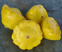 Yellow Scallop, Summer Squash, -- BoxGardenSeedsLLC -Squash,Pumpkins - Seeds