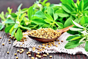 Fenugreek Seeds - BoxGardenSeedsLLC - Culinary/Medicinal Herbs - Seeds - Fresh Heirloom Vegetable Seeds, Naturally Grown Open Pollinated, More Seeds Per Packet, More Seeds For Your Money
