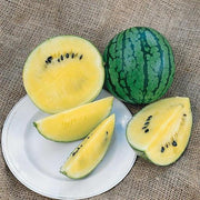 Cream of Saskatchewan, Watermelon, Heirloom Seeds, Melon Open Pollinated Seeds Non-GMO - BoxGardenSeedsLLC - Melons, Cantaloupe - Seeds - USA Seller, Thank you for shopping here today, Naturally Grown GMO Free Seeds, Heirloom Open Pollinated Seeds, Fresh Top Quality Premium Seeds