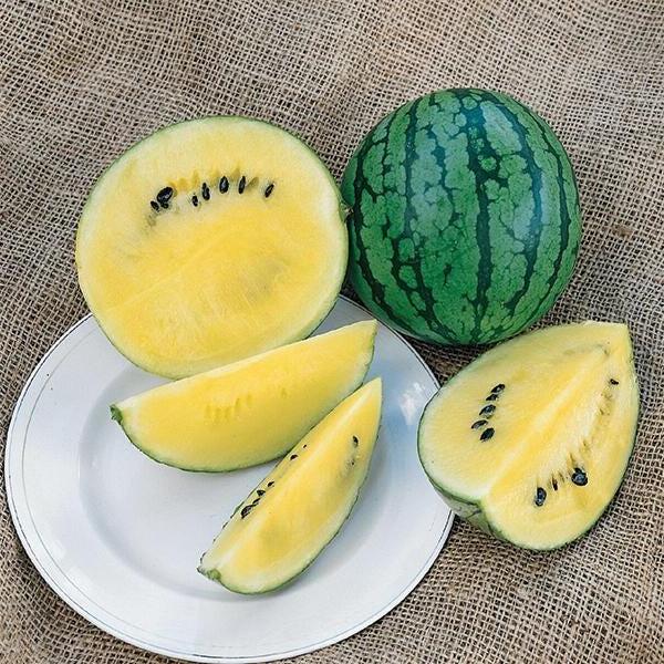 Cream of Saskatchewan, Watermelon, Heirloom Seeds, Melon Open Pollinated Seeds Non-GMO - BoxGardenSeedsLLC - Melons, Cantaloupe - Seeds - USA Seller, Thank you for shopping here today, Naturally Grown GMO Free Seeds, Heirloom Open Pollinated Seeds, Fresh Top Quality Premium Seeds