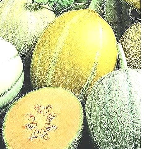 Sweet Summer Mix,  Melon,  Heirloom Seeds,  Open Pollinated Non-GMO