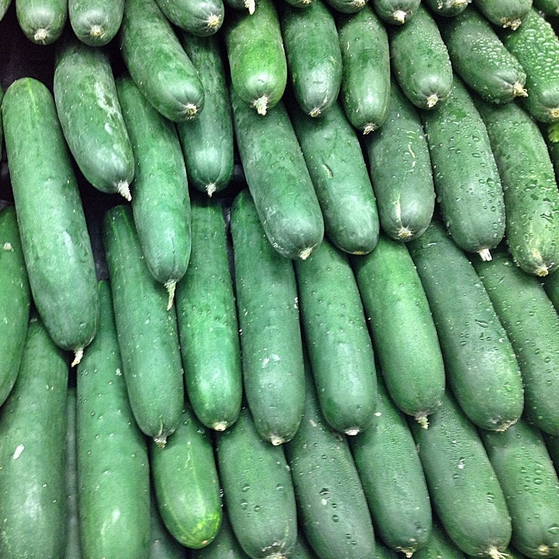 Marketmore 76, Cucumber - BoxGardenSeedsLLC - Cucumbers - Seeds - USA Seller, Thank you for shopping here today, Naturally Grown GMO Free Seeds, Heirloom Open Pollinated Seeds, Fresh Top Quality Premium Seeds