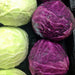 Cabbage, Red Express, - BoxGardenSeedsLLC -Cabbage, Kale - Seeds