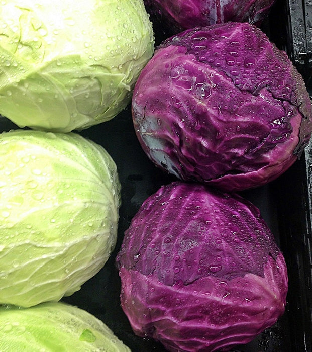 Cabbage, Red Express, -- BoxGardenSeedsLLC -Cabbage, Kale - Seeds