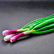 Crimson Forest Bunching, Onion, Heirloom Garden Seeds Garden Red Buncher Non-GMO - BoxGardenSeedsLLC - Onions,Leeks - Seeds - USA Seller, Thank you for shopping here today, Naturally Grown GMO Free Seeds, Heirloom Open Pollinated Seeds, Fresh Top Quality Premium Seeds