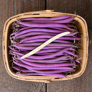 Fall Vegetable Garden, Seed Collection, Non-GMO, Open Pollinated, Free Shipping - BoxGardenSeedsLLC - Tomatoes,Tomatillos - Seeds - 