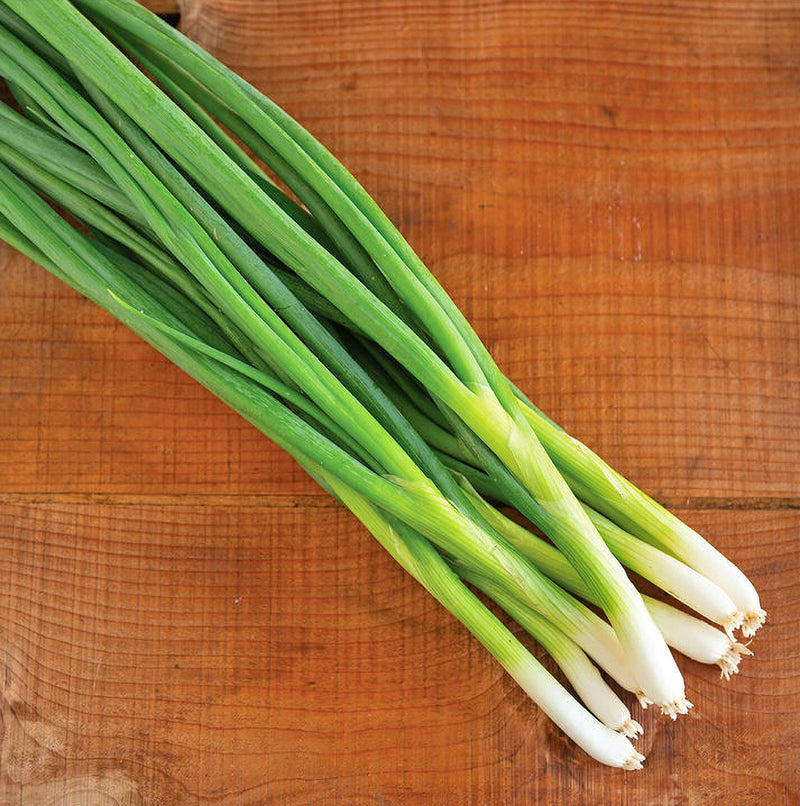 Fall Vegetable Garden, Seed Collection, Non-GMO, Open Pollinated, Free Shipping - BoxGardenSeedsLLC - Tomatoes,Tomatillos - Seeds - 