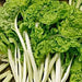 Lucullus, Swiss Chard, - BoxGardenSeedsLLC -Chard, Kohlrabi - Seeds