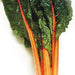 Fantasia Orange, Swiss Chard, - BoxGardenSeedsLLC -Chard, Kohlrabi - Seeds