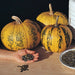 Styrian Hulless Pumpkin Seeds - BoxGardenSeedsLLC -Squash,Pumpkins - Seeds