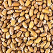 Jacob's Cattle Gold Bean Seeds: Heirloom, Open Pollinated, Non-GMO - BoxGardenSeedsLLC - Beans / Dry Beans - Seeds - Thank you for shopping here today, Non GMO Seeds, Naturally Grown Seeds, Grown to Organic Standards, Heirloom Seeds, Open Pollinated Seeds, Fresh Premier Seeds, USA Seller