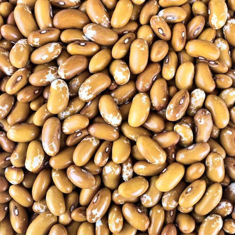 Jacob's Cattle Gold Bean Seeds: Heirloom, Open Pollinated, Non-GMO - BoxGardenSeedsLLC - Beans / Dry Beans - Seeds - Thank you for shopping here today, Non GMO Seeds, Naturally Grown Seeds, Grown to Organic Standards, Heirloom Seeds, Open Pollinated Seeds, Fresh Premier Seeds, USA Seller