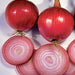 Ruby Red, Onion, - BoxGardenSeedsLLC -Onions,Leeks - Seeds