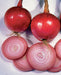 - BoxGardenSeedsLLC - Red Burgundy Onion - ABS/Clearance Sale - Seeds