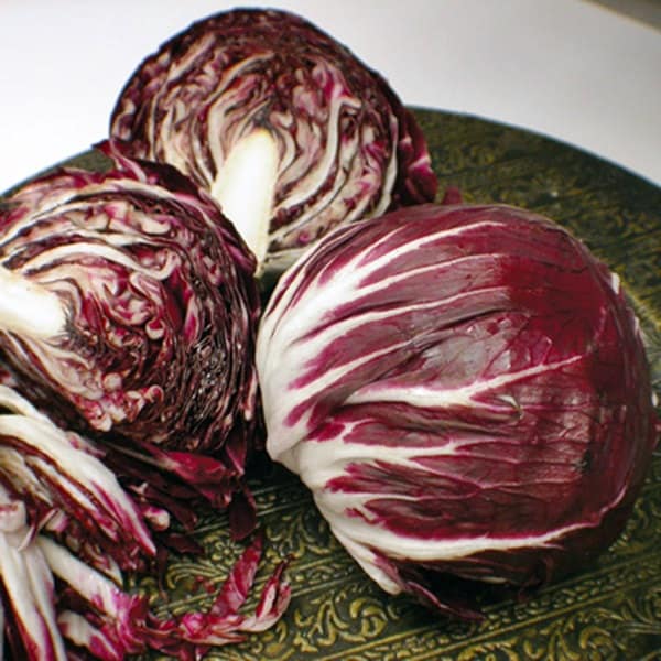 Palla Rosa, Radicchio, - BoxGardenSeedsLLC -Gourmet/Native Greens - Seeds