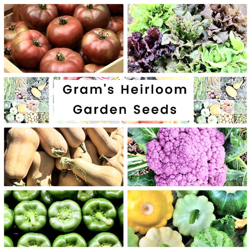 Gram's Heirloom Seed Collection: Non-GMO Open Pollinated Container Gardening Essentials - BoxGardenSeedsLLC - Tomatoes,Tomatillos - Seeds - 