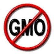 a red circle with a diagonal line through it, and the letters &quot;GMO&quot; inside the circle.