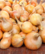 Gram's Heirloom Seed Collection: Non-GMO Open Pollinated Container Gardening Essentials - BoxGardenSeedsLLC - Tomatoes,Tomatillos - Seeds - 