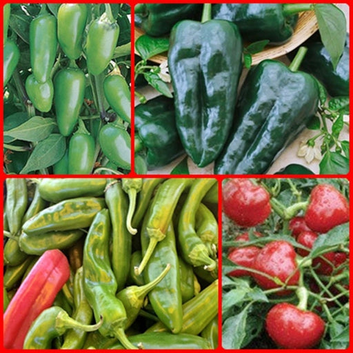 - BoxGardenSeedsLLC - Heirloom Hot Pepper Seed Kit - - Seeds