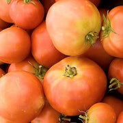 Long Keeper OG, Tomato Seeds: Heirloom Non-GMO Grown To Organic Standards Open Pollinated - BoxGardenSeedsLLC - Tomatoes,Tomatillos - Seeds - USA Seller, Thank you for shopping here today, Naturally Grown GMO Free Seeds, Heirloom Open Pollinated Seeds, Fresh Top Qualiy Premium Seeds, More Fresh Seeds Per Packet
