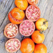 Long Keeper OG, Tomato Seeds: Heirloom Non-GMO Grown To Organic Standards Open Pollinated - BoxGardenSeedsLLC - Tomatoes,Tomatillos - Seeds - USA Seller, Thank you for shopping here today, Naturally Grown GMO Free Seeds, Heirloom Open Pollinated Seeds, Fresh Top Qualiy Premium Seeds, More Fresh Seeds Per Packet